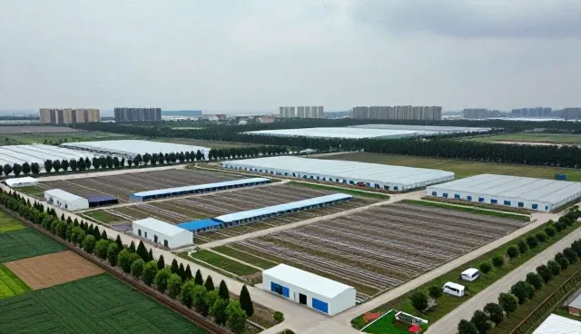 如何选择适合的教辅资料定制方案
